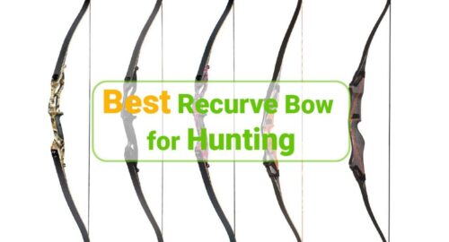 Best recurve bow for hunting