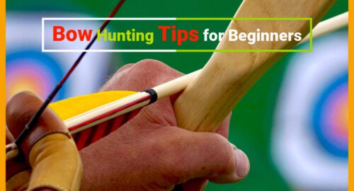 Bow hunting tips for beginners