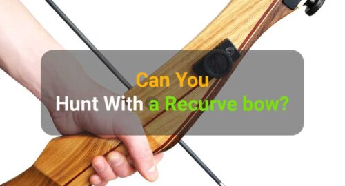 Can you hunt with a recurve bow
