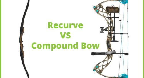 Recurve and compound bow for hunting