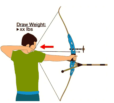 Recurve-bow-draw-weight