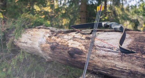 hunting deer with a recurve bow