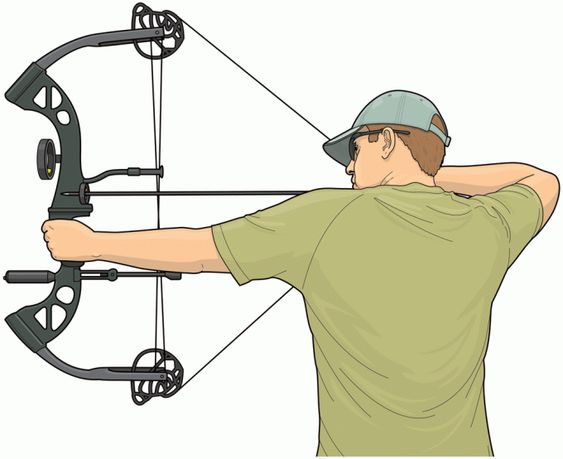 how to tune a compound bow best way
